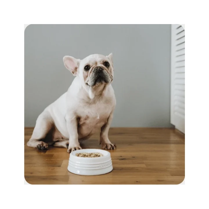 Buddy FOOD（バディフード）の商品画像