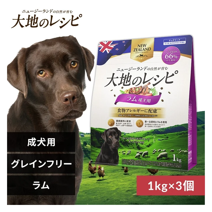 ヘルシーステップの商品画像
