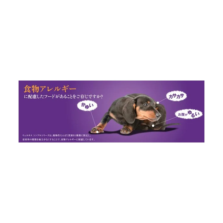 ウェルネス シンプルの商品画像